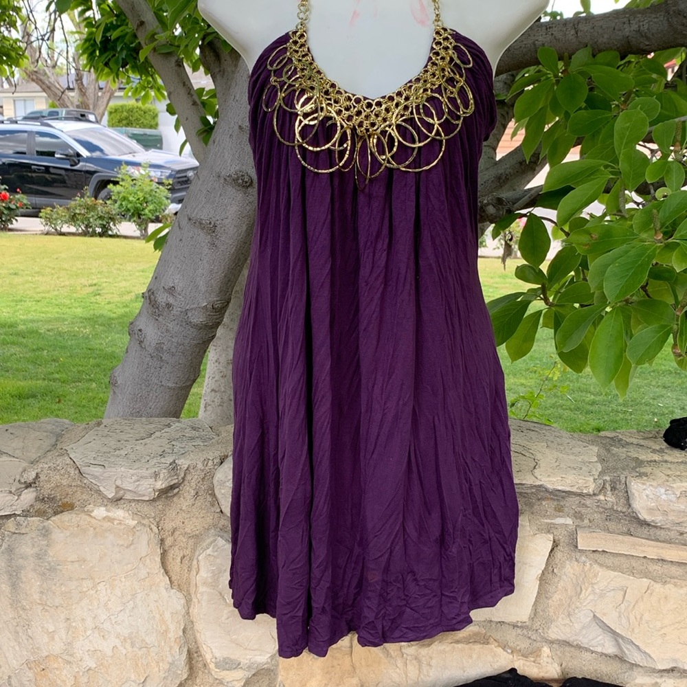 Purple dress with gold hoops